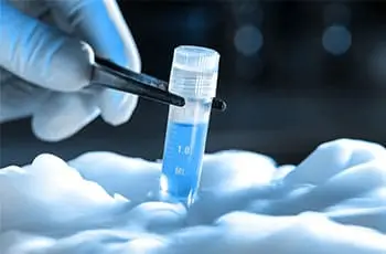 process of freezing sperms and eggs