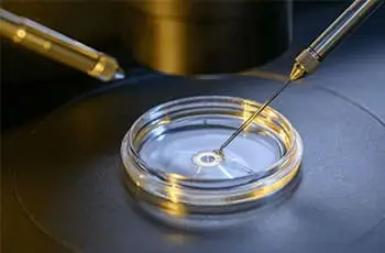 Donor egg ivf treatment