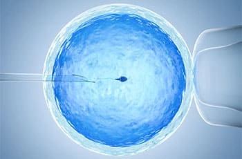 IVF treatment and process